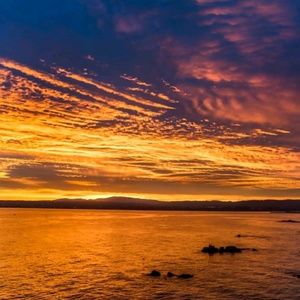 Meet your Posher, Melinda